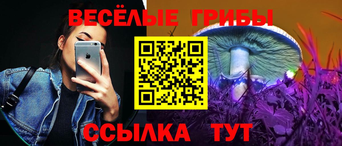 Галлюциногенные грибы ЛСД Удомля